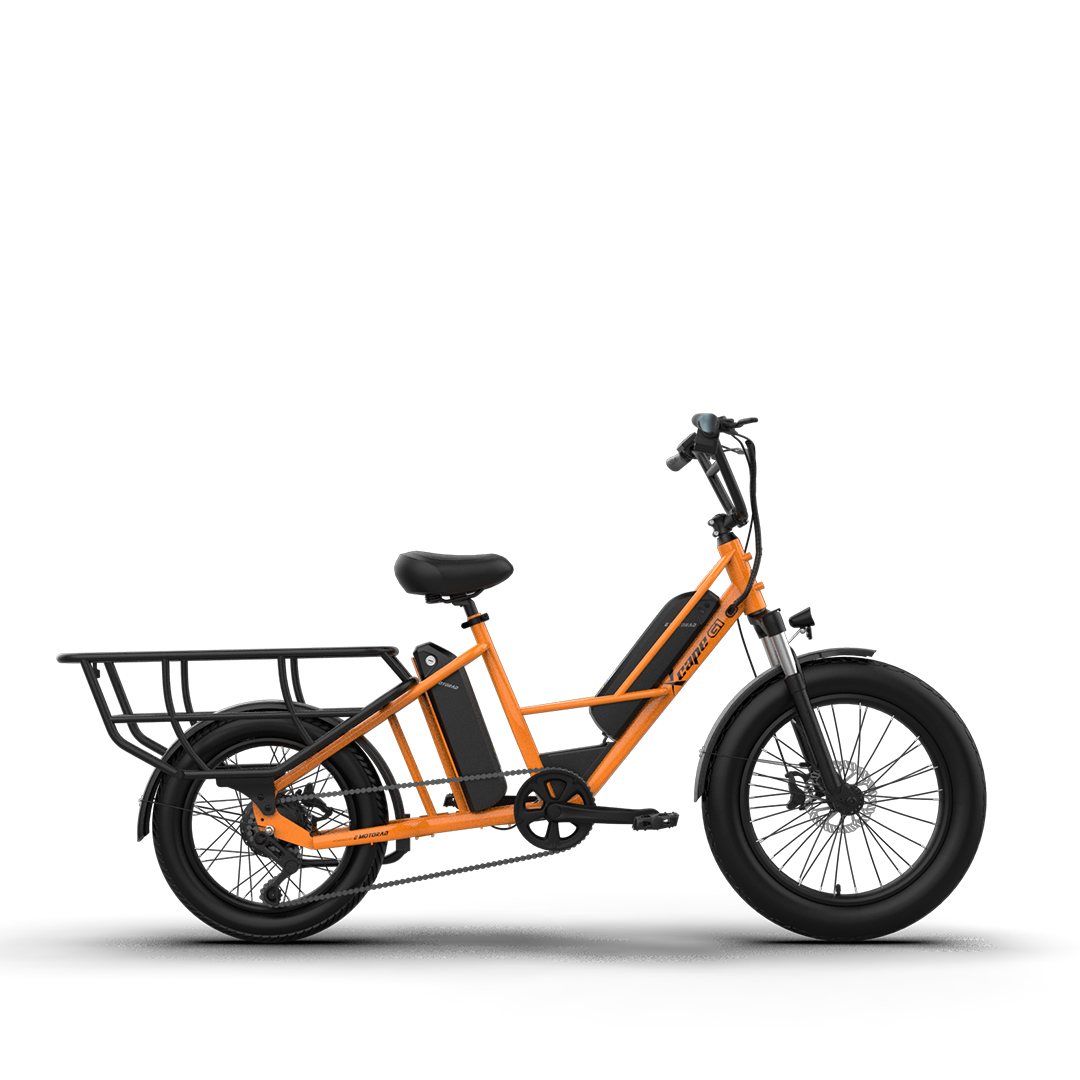 EMotorrad G1 bicicleta eléctrica de carga